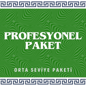 Profesyonel Plan – Orta Seviye Paketi